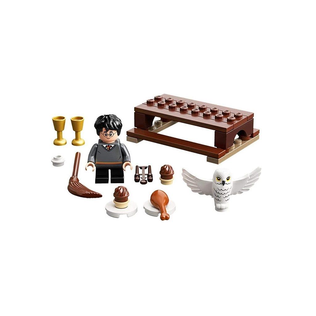 LEGO HARRY POTTER Y HEDWIG